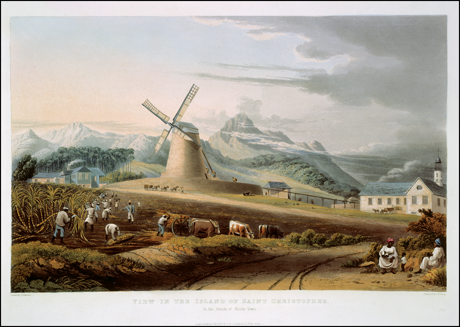 Figure 6.3 A colored engraving depicting a farmstead scene on the island of St. Christopher: in the foreground, several men work in a large sugarcane field, cutting down and carting the crop; in the background, a large windmill is visible, behind which rises a lush mountain range.