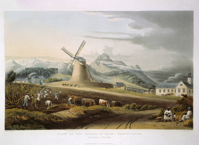 A colored engraving depicting a farmstead scene on the island of St. Christopher: in the foreground, several men work in a large sugarcane field, cutting down and carting the crop; in the background, a large windmill is visible, behind which rises a lush mountain range.